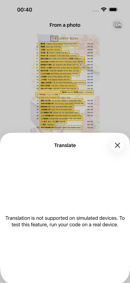 Offline Chinese screenshot 1